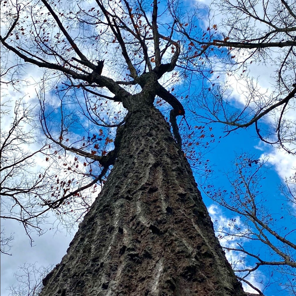 Meet your Posher, Kawtar